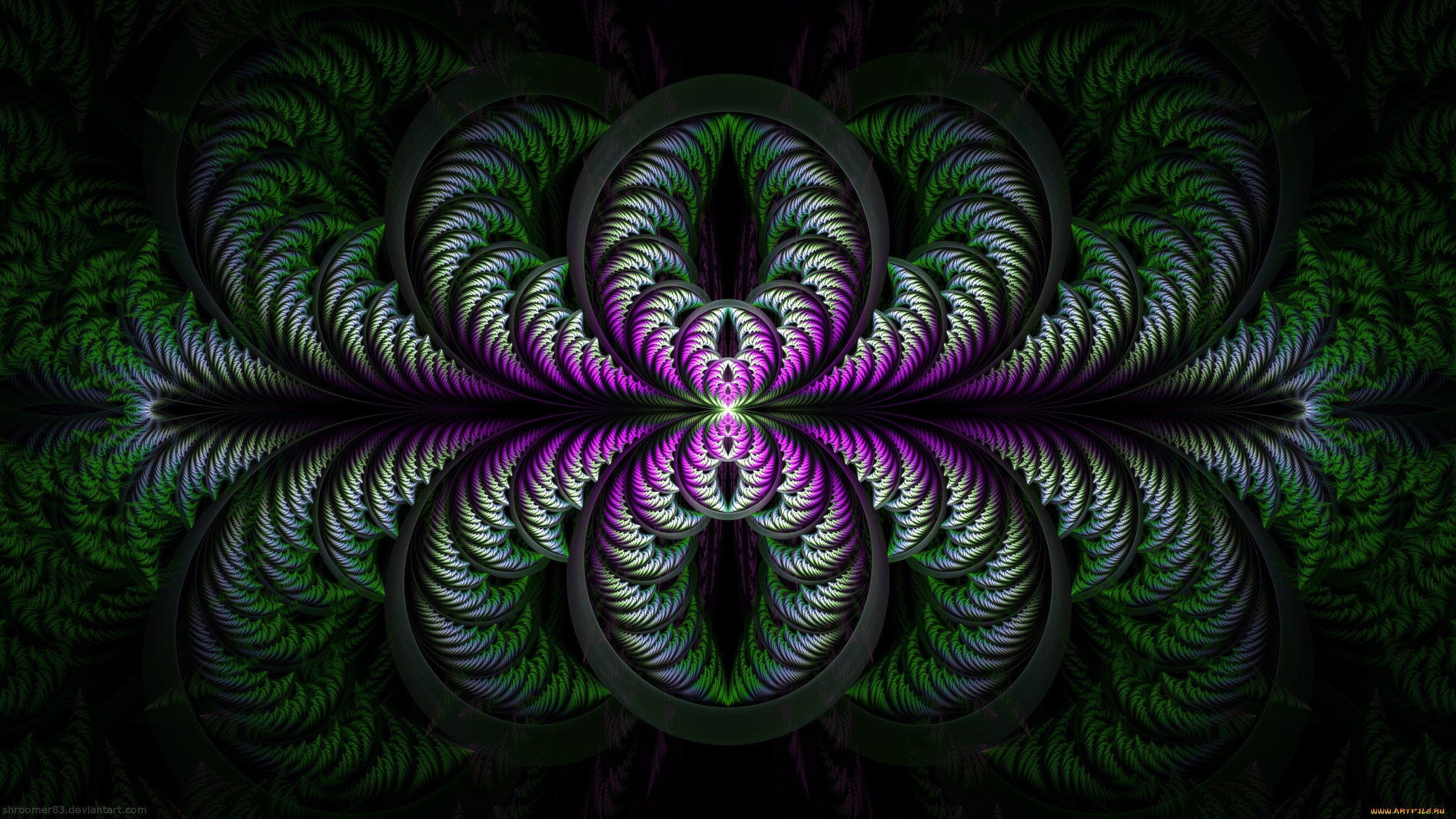 image...