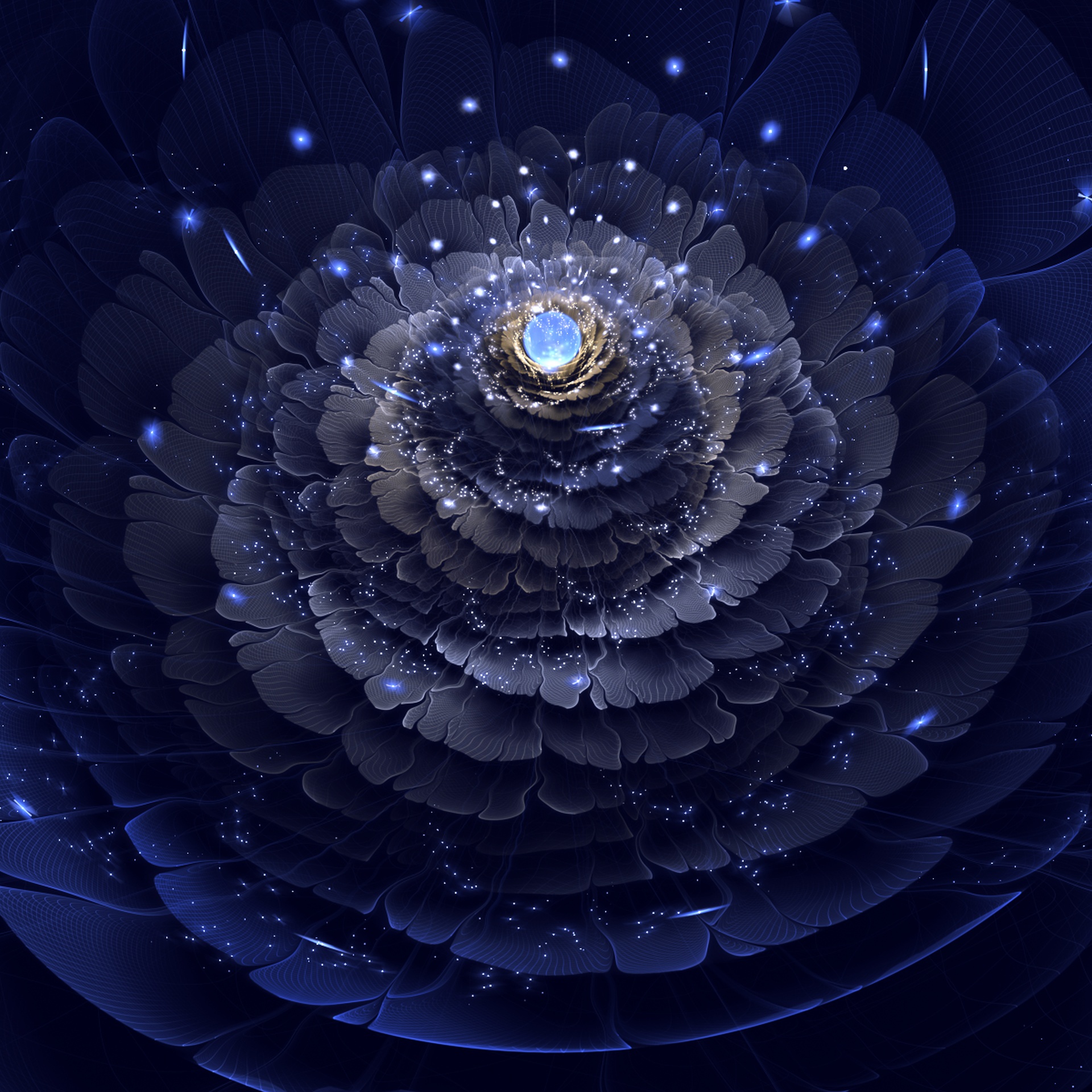 image...